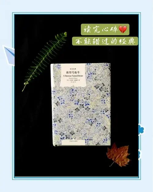 《欲望号街车》中的善意与悲剧