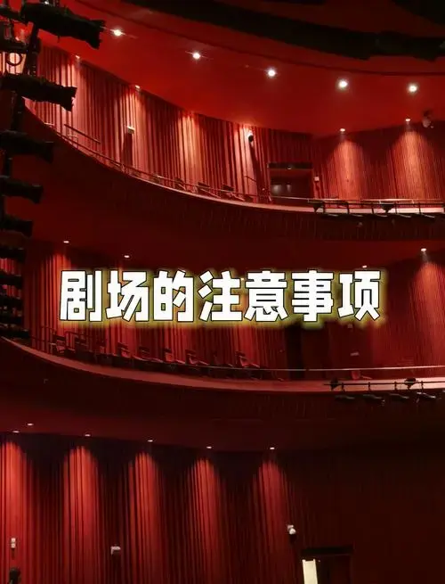 🕰 剧院一般在开演前半个小时就会开始检票入场.而在正式开洋后