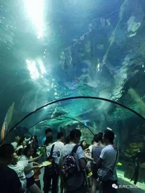 亲子之旅 寓教于乐
