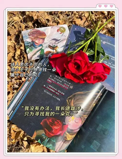 《小王子》续集:爱与成长