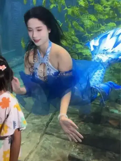 有美人鱼比我是不是真的美人鱼更重要