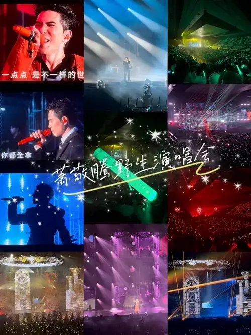萧敬腾野生北京演唱会--最爱的摇滚撕裂嗓音