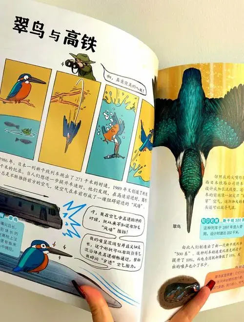 《如果动物会发明》激发孩子无限想象力