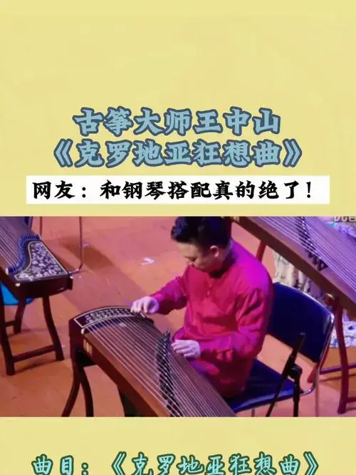 古筝大师王中山《克罗地亚狂想曲》-度小视