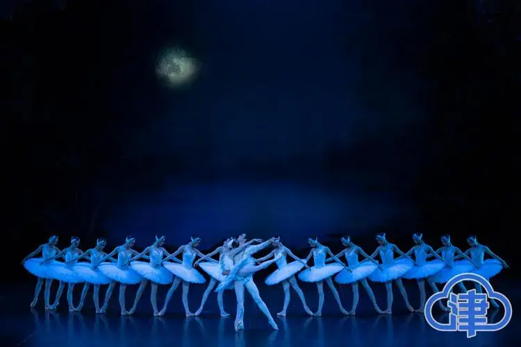 中央芭蕾舞团《天鹅湖》来津 看经典玛卡洛娃版本的中国式表达