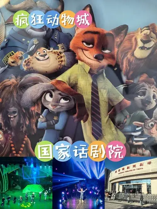 国家话剧院‼️🐰疯狂动物城🦊