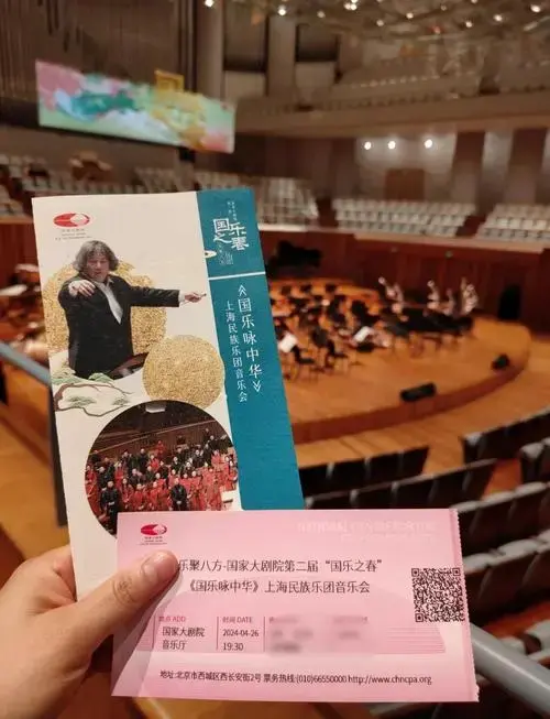 音乐会沉浸式体验:琵琶声里的光影秘境🎶