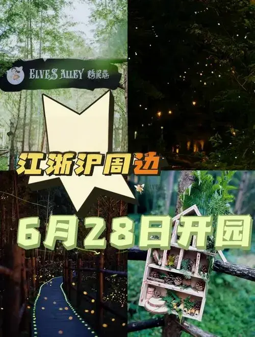 湖州精灵巷萤火虫节盛大开幕!