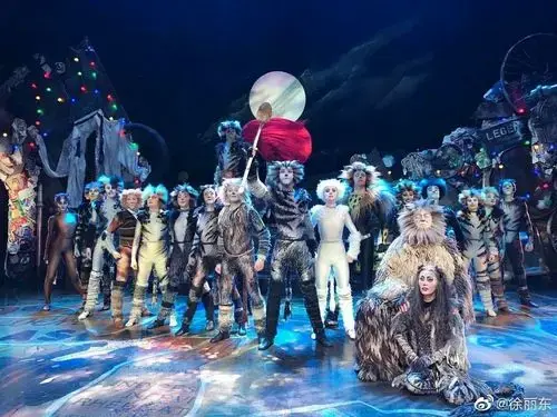 成为首位在英文版《猫》中扮演魅力猫grizabella的华裔演员!