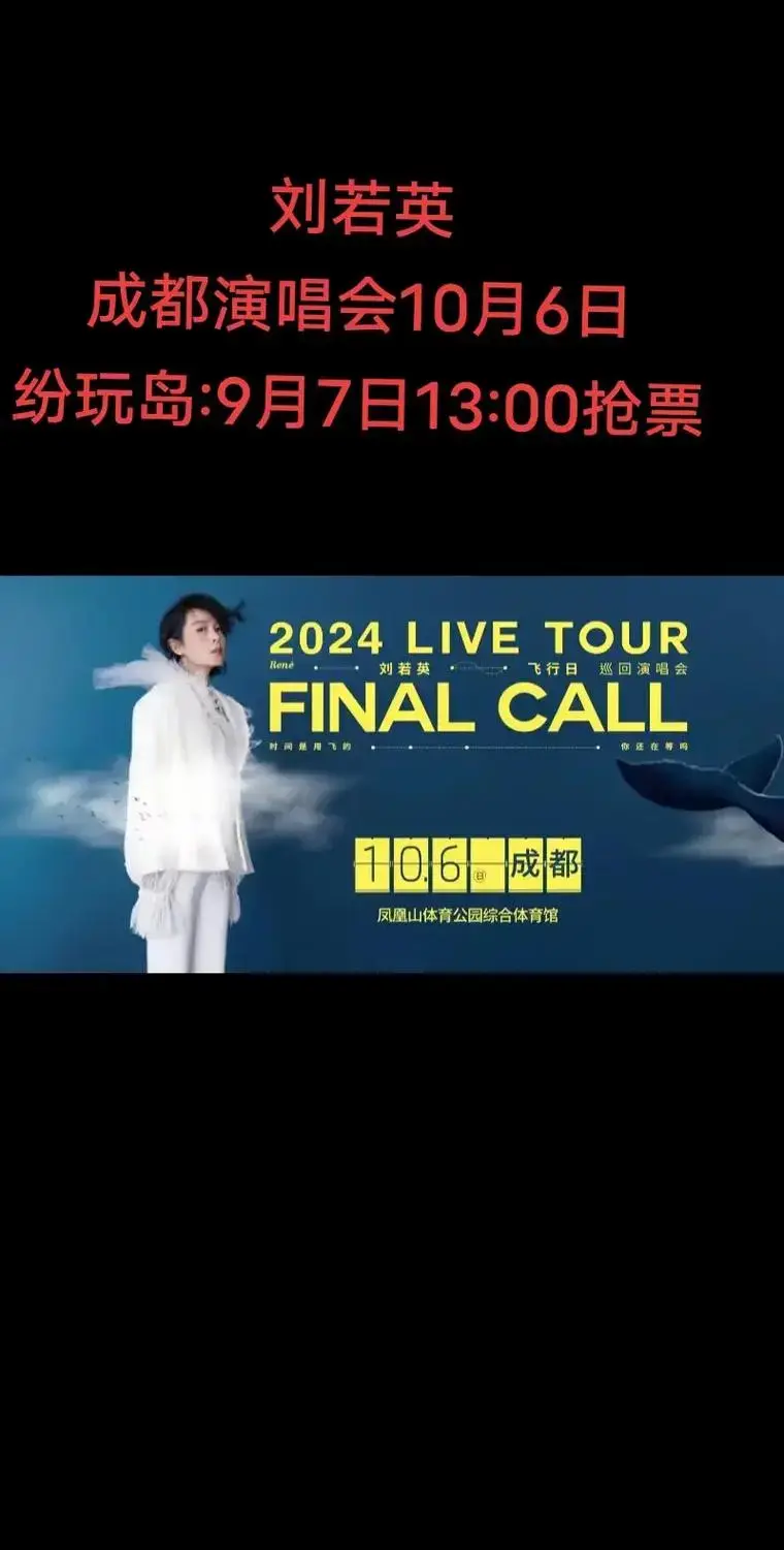 刘若英成都飞行演唱会