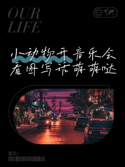 小动物开音乐会,看图写话萌萌哒