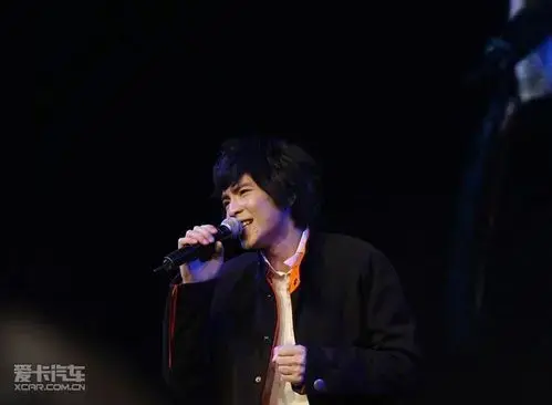 大众新甲壳虫新年音乐会开唱