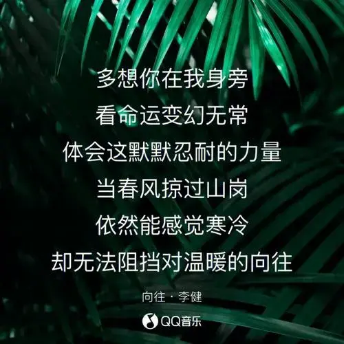 音乐只是提供氛围你听都是自己的故事