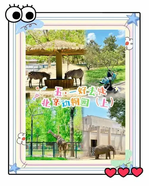 北京动物园亲子游全攻略:五一必看!