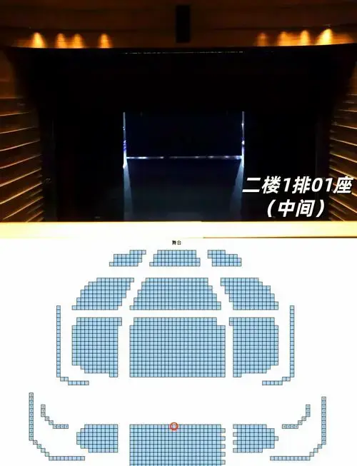 想知道座位视野如何?是坐前排还是后排好?二楼会不会太遥远?