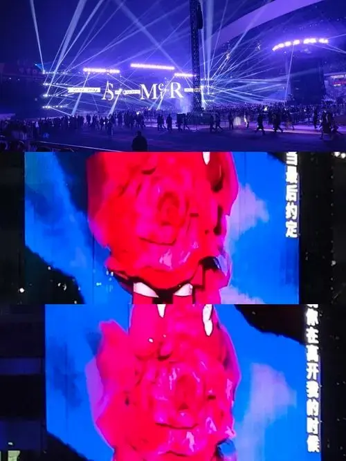 张惠妹演唱会