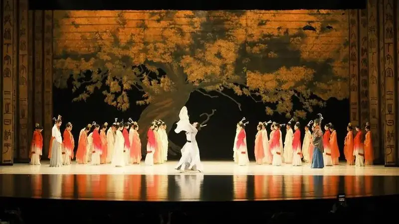 深圳滨海艺术中心《孔子》舞剧观后心得