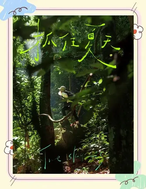 🌳森林之歌🐦
