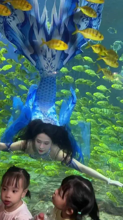 相信有美人鱼比我是不是真的美人鱼更重要
