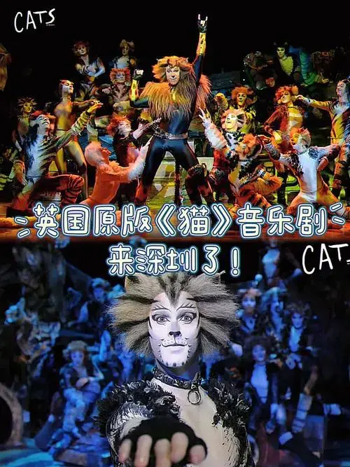 原版经典值得n刷!《猫》音乐剧准备无脑冲