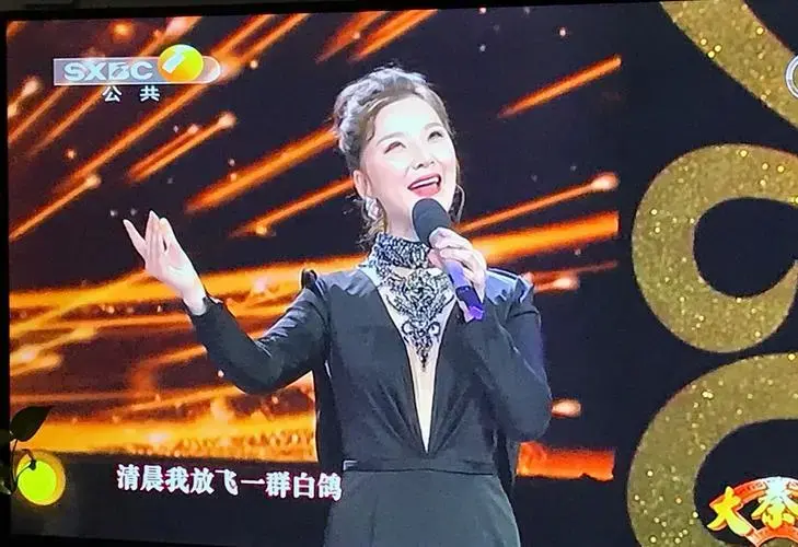 出生在陕西省富平县,是我省秦腔眉户艺术新生代实力派演员和知名青年