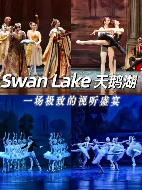 看了经典舞剧《天鹅湖》🦢,我也爱上芭蕾了!