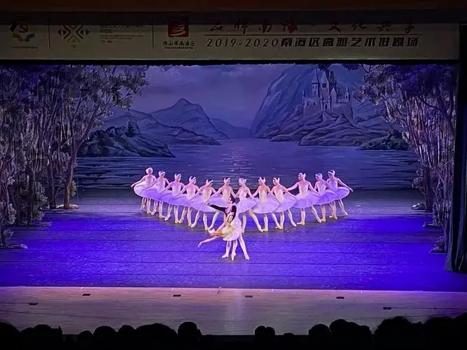 在大麦网的买的天鹅湖的票.没想到也挺多人-大众点评