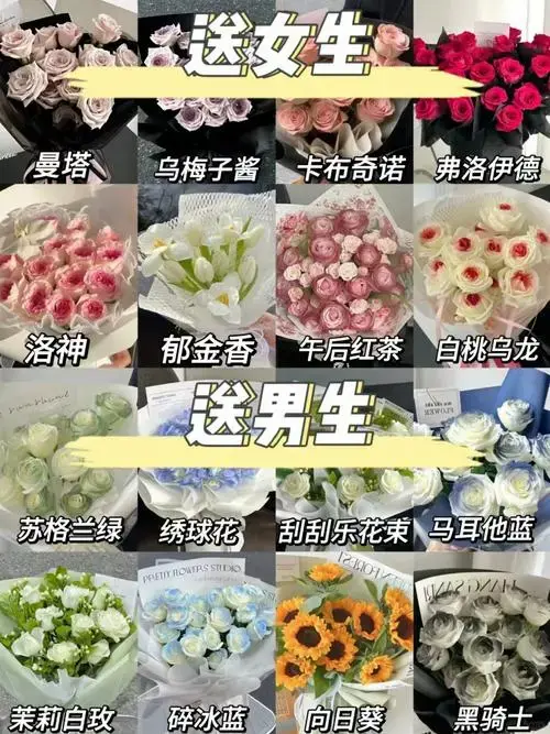 520送花指南:高颜值花材推荐🌸