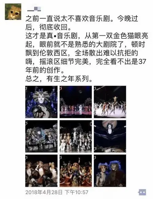 2024年·*18年《猫》的现场时隔十年,依然一票难求《猫》再登陕剧舞台