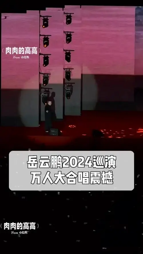 岳云鹏2024巡演,万人大合唱震撼