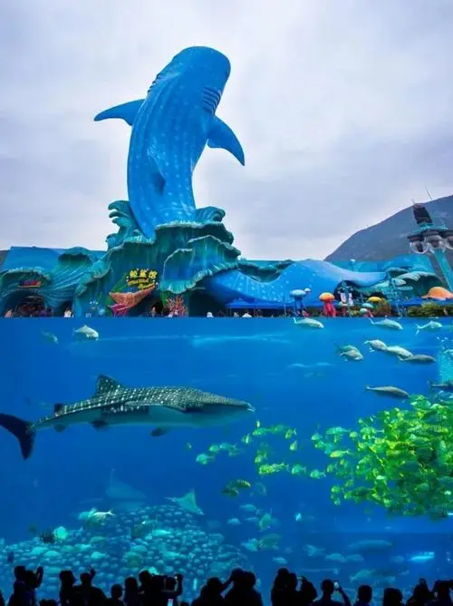 珠海长隆避坑指南🐬省时省力不踩雷
