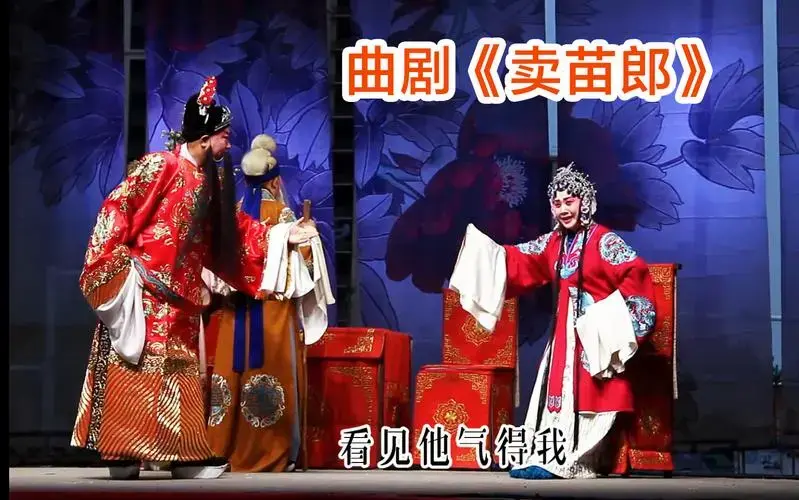 曲剧《卖苗郎》看见他气得我-苏咏梅老师