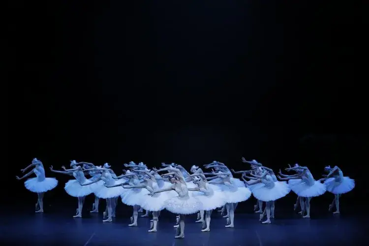 中央芭蕾舞团推岁末迎新演出季,明年2月再演《天鹅湖》