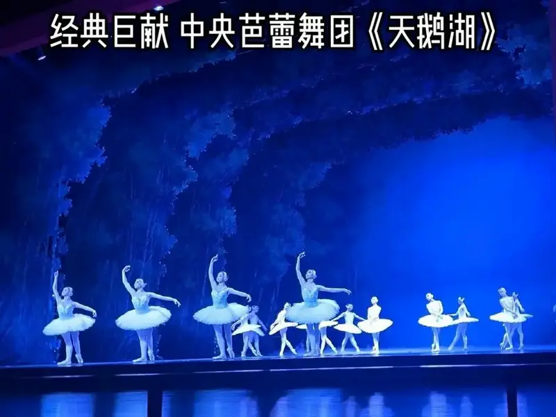 经典巨献 中央芭蕾舞团《天鹅湖》经典巨献 中央芭蕾舞团《天鹅 - 抖