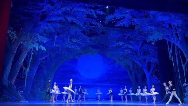 芭蕾舞演员的腿…莫斯科芭蕾舞团《天鹅湖》谢幕