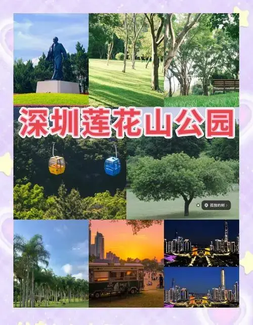 深圳莲花山公园必打卡景点推荐