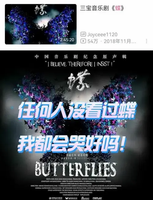音乐剧《蝶》震撼首演,开启艺术新篇章