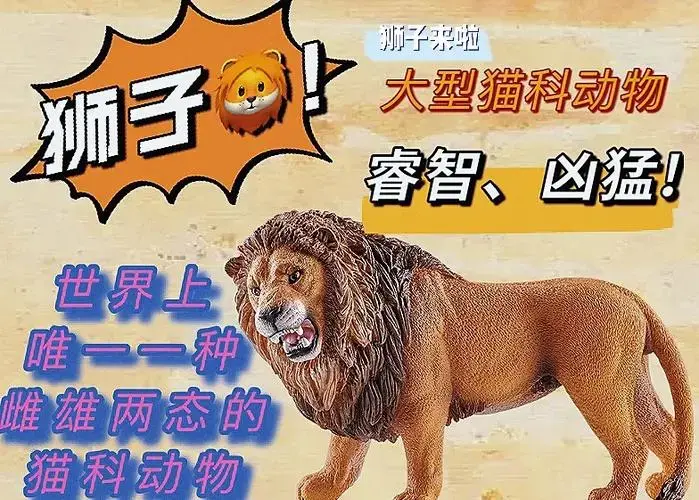 🦁狮子:森林之王的故事