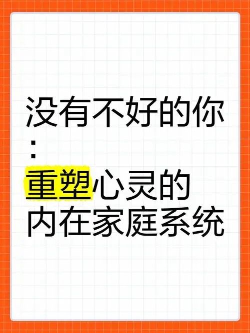 《没有不好的你》:重塑心灵的内在家庭系统