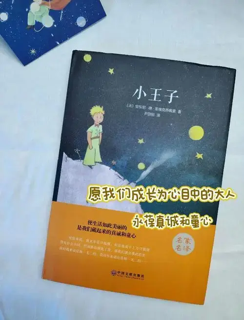 《小王子》成长与爱:责任与童心的思考