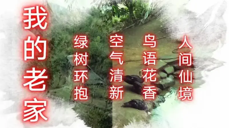 治愈系纯音乐明月夜消除焦虑放松睡眠