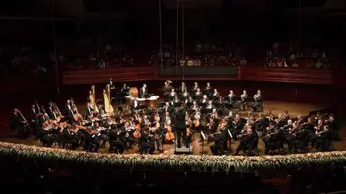 乐迷们期盼已久的维也纳爱乐乐团2017年中国巡演的第一站音乐会,19日