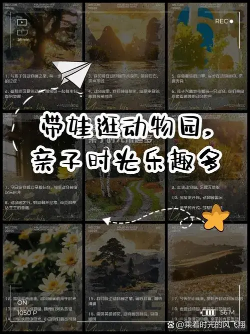 你和娃在动物园寻找快乐, 陪伴左右, 笑声不断 4. 动物园里