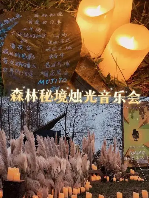 森林🍃美酒🍷音乐🎶烛光🕯甜品美食🍮让我们逃离城市的喧嚣