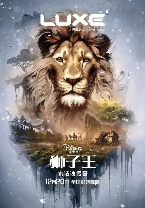 2024狮子王电影:真实与传奇的碰撞