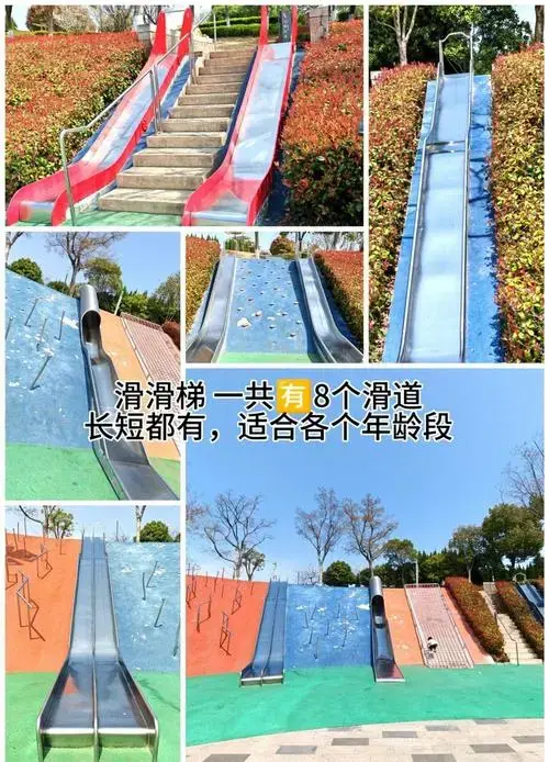 苏州天鹅湖公园:亲子游的完美选择 🌳