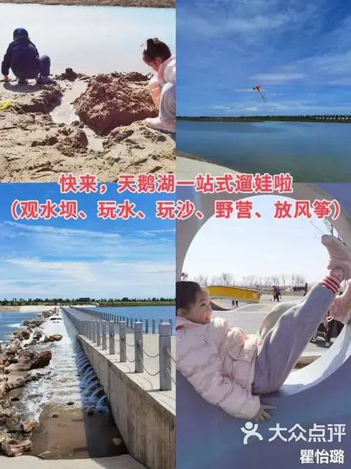 石家庄周末遛娃7天鹅湖一站式遛娃