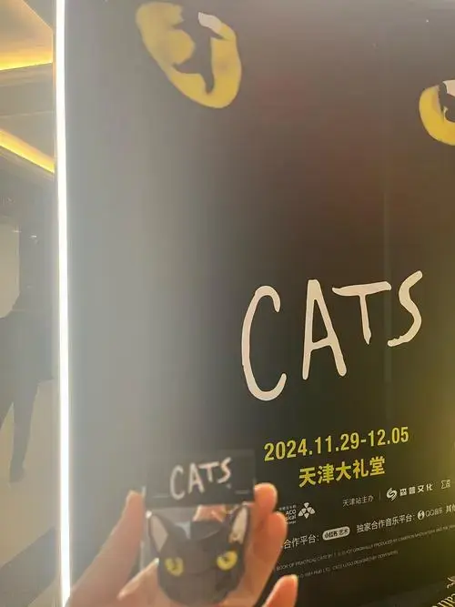 音乐剧《猫》,全国巡演天津站[打卡][打卡][打卡]