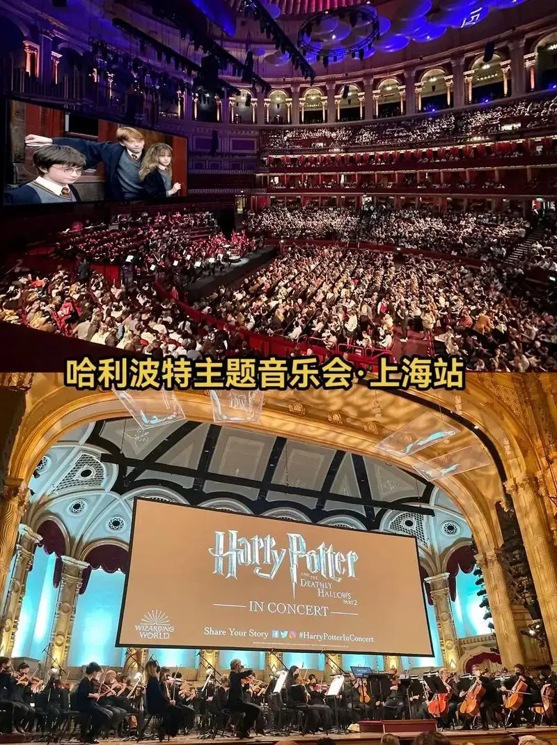 哈利波特主题音乐会.前奏一响仿佛回到魔法时间!