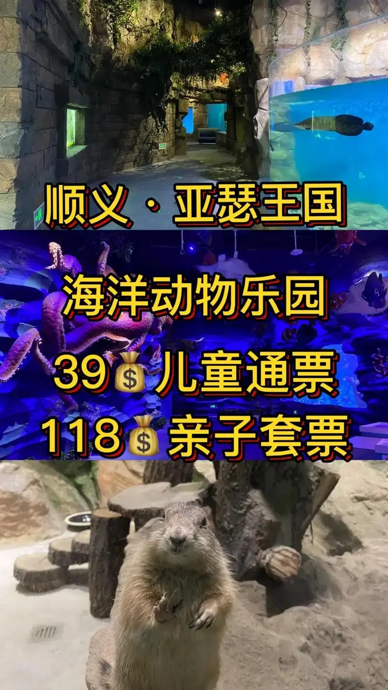 9💰儿童通票/118亲子套票 - 抖音